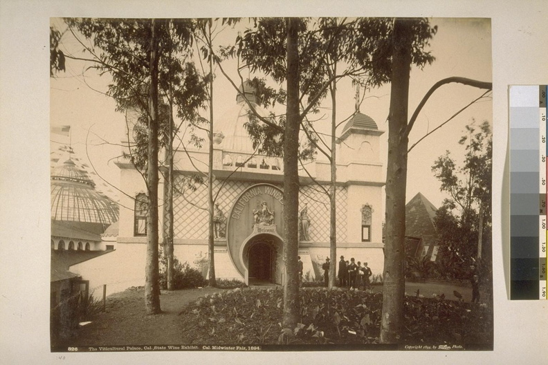 The Viticultural Palace, Cal. State Wine Exhibit, California Midwinter Fair, 1894.jpg