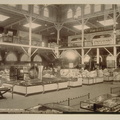 Mineral Exhibit, Mechanical Arts Bldg., C.M.I.E., 1894