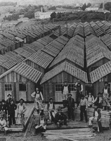 Row of shacks%2C 1906 earthquake in San Francisco