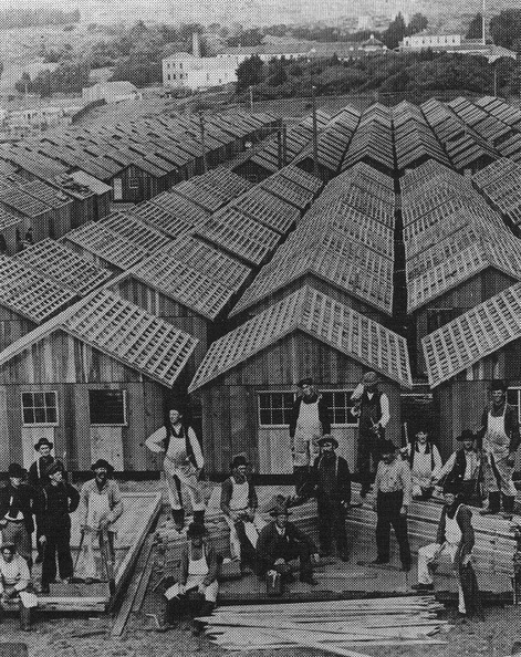 Row_of_shacks%2C_1906_earthquake_in_San_Francisco.jpg