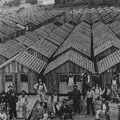 Row of shacks%2C 1906 earthquake in San Francisco