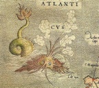 Sea monsters on old maps